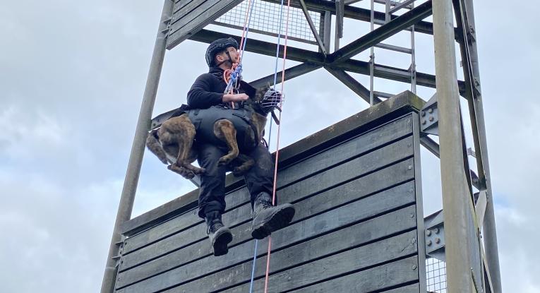 Essex Police officer and police dog on a harness