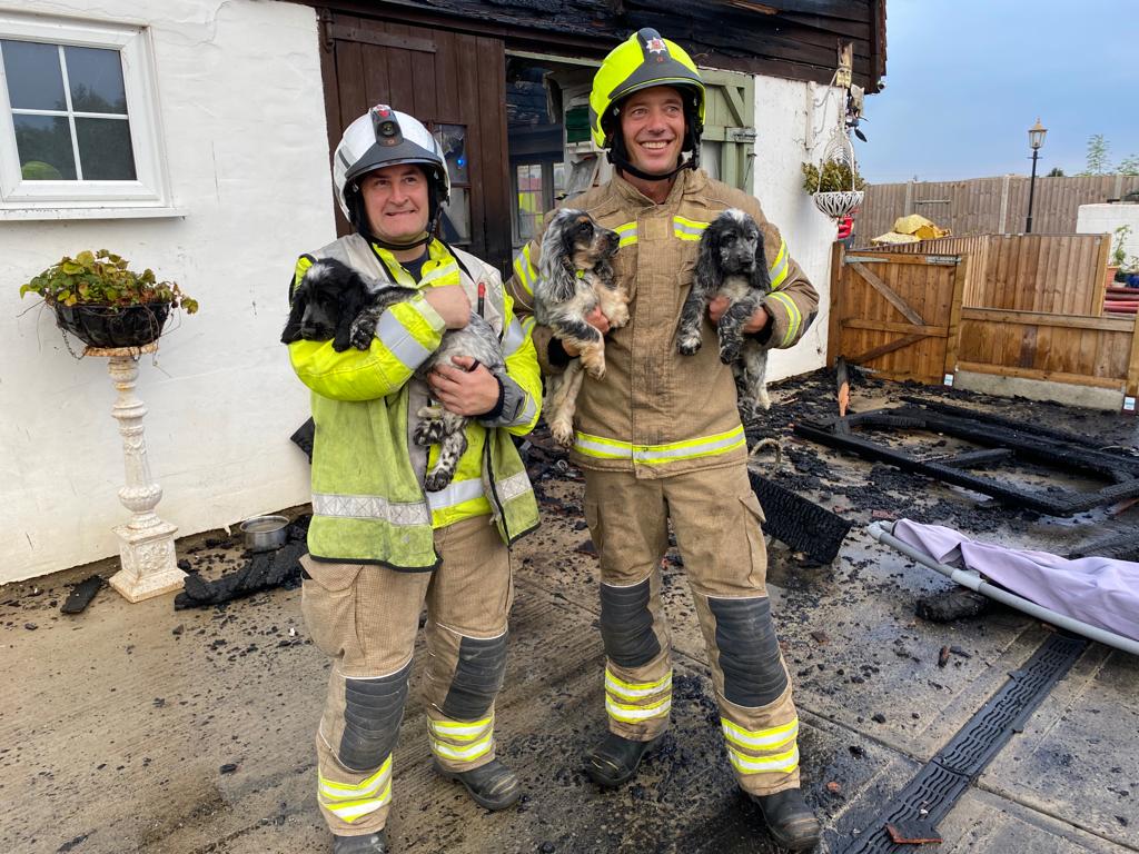Two of our male firefighters holding three black and white cocker spaniel puppies in their arms after rescuing them from a fire.