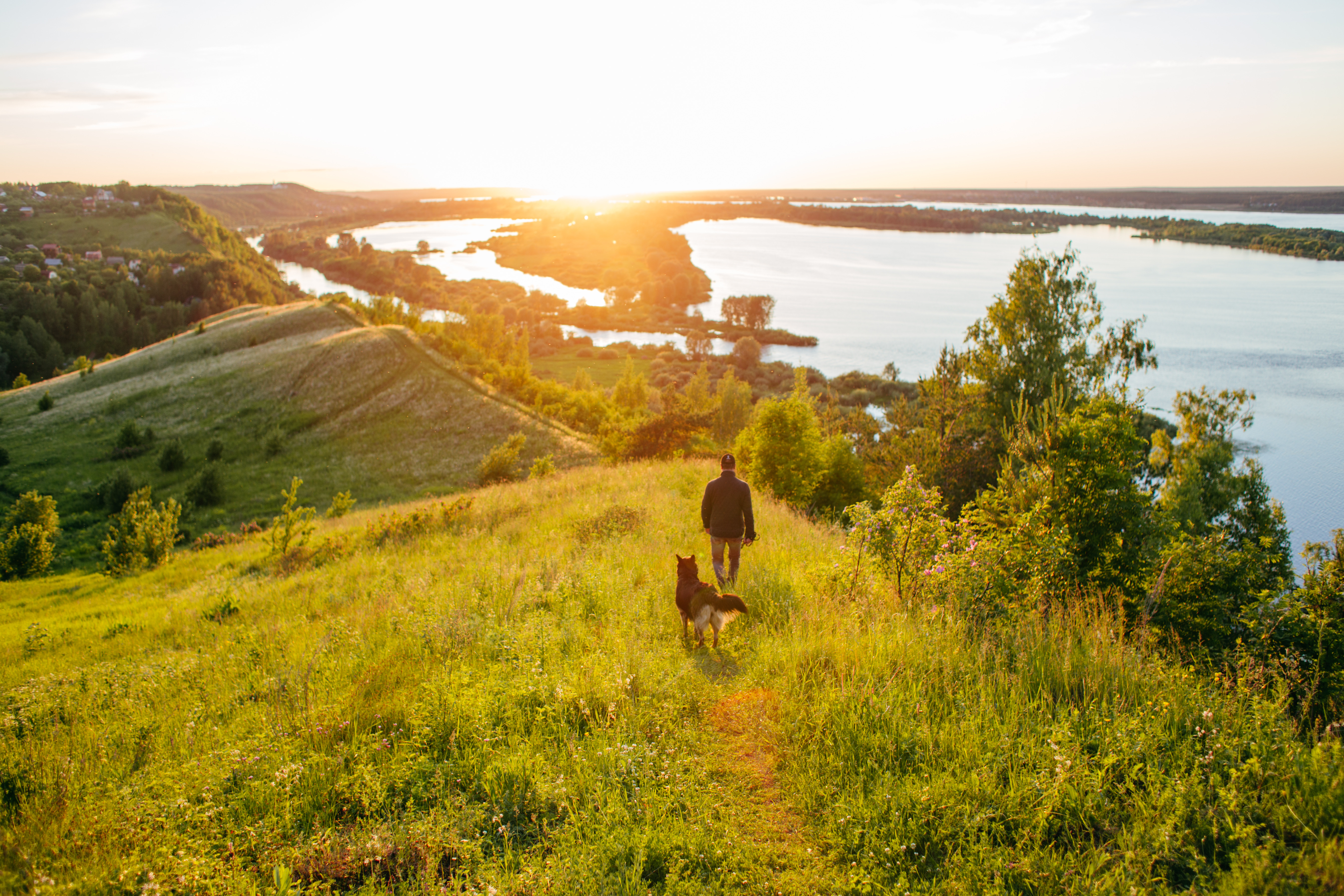 Man and dog walking on grassy hill with sea in the background