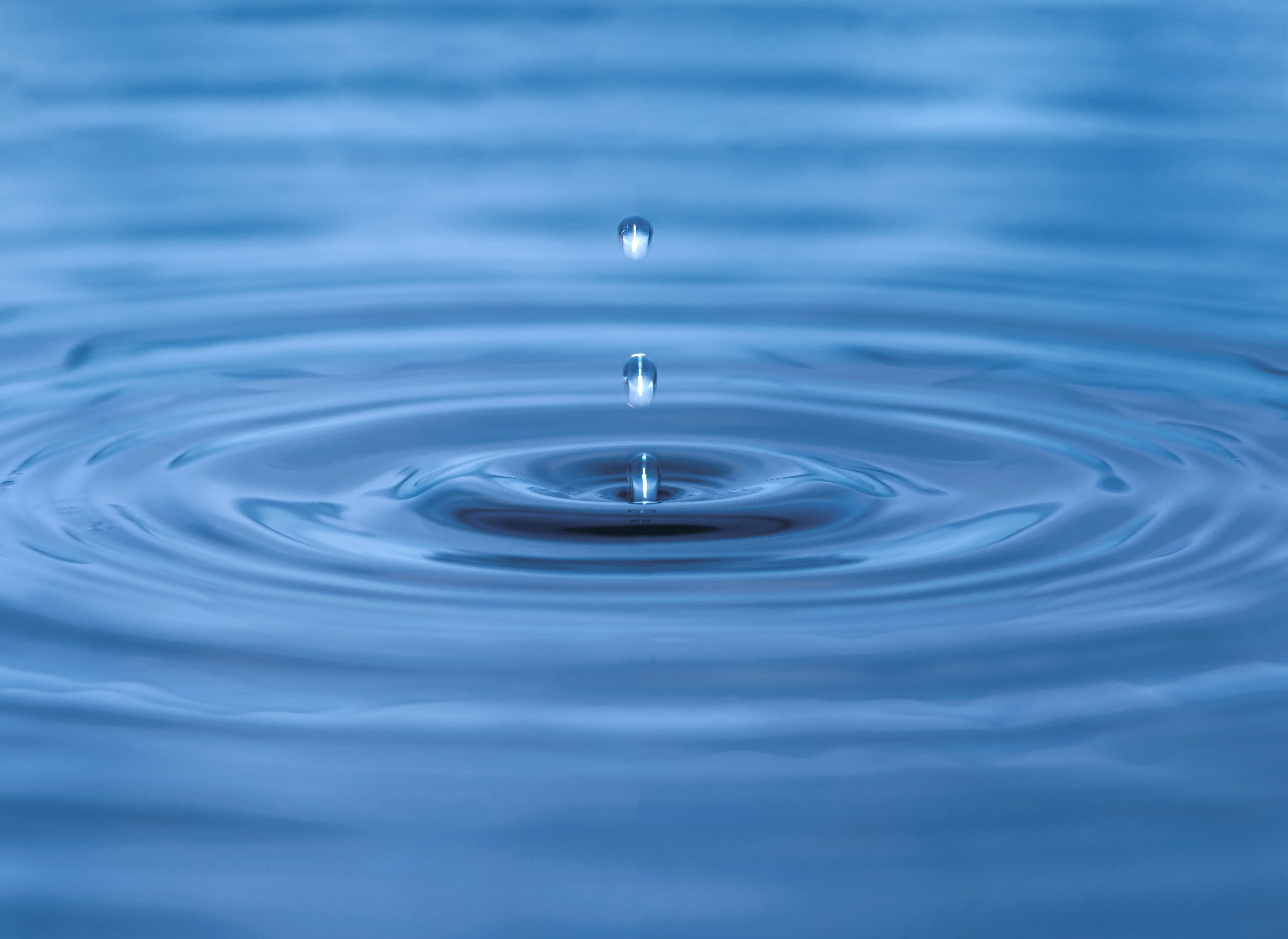 Water droplet creates ripples in surface of water