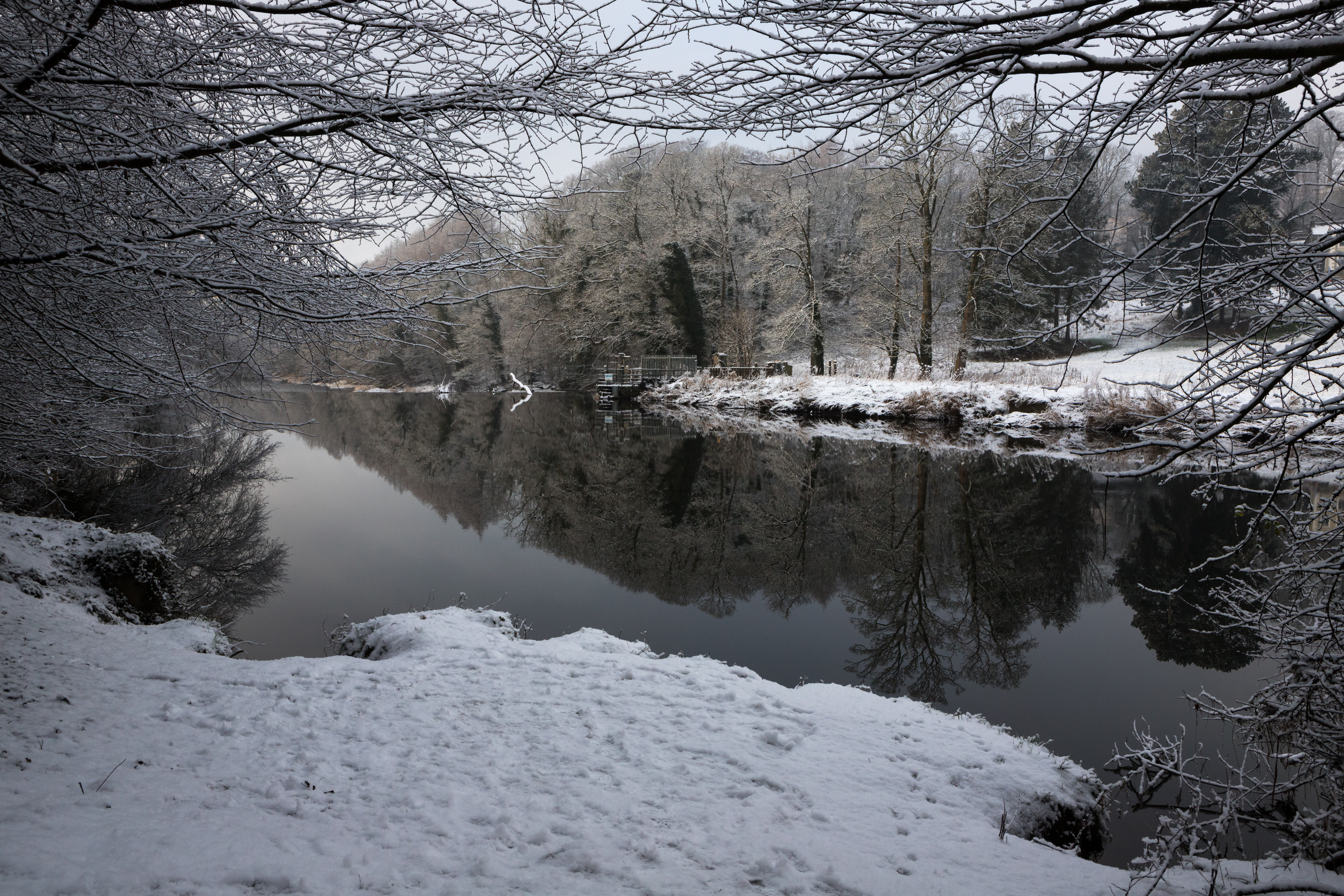 Snowy ground looking out over lake, surrounded by bare trees