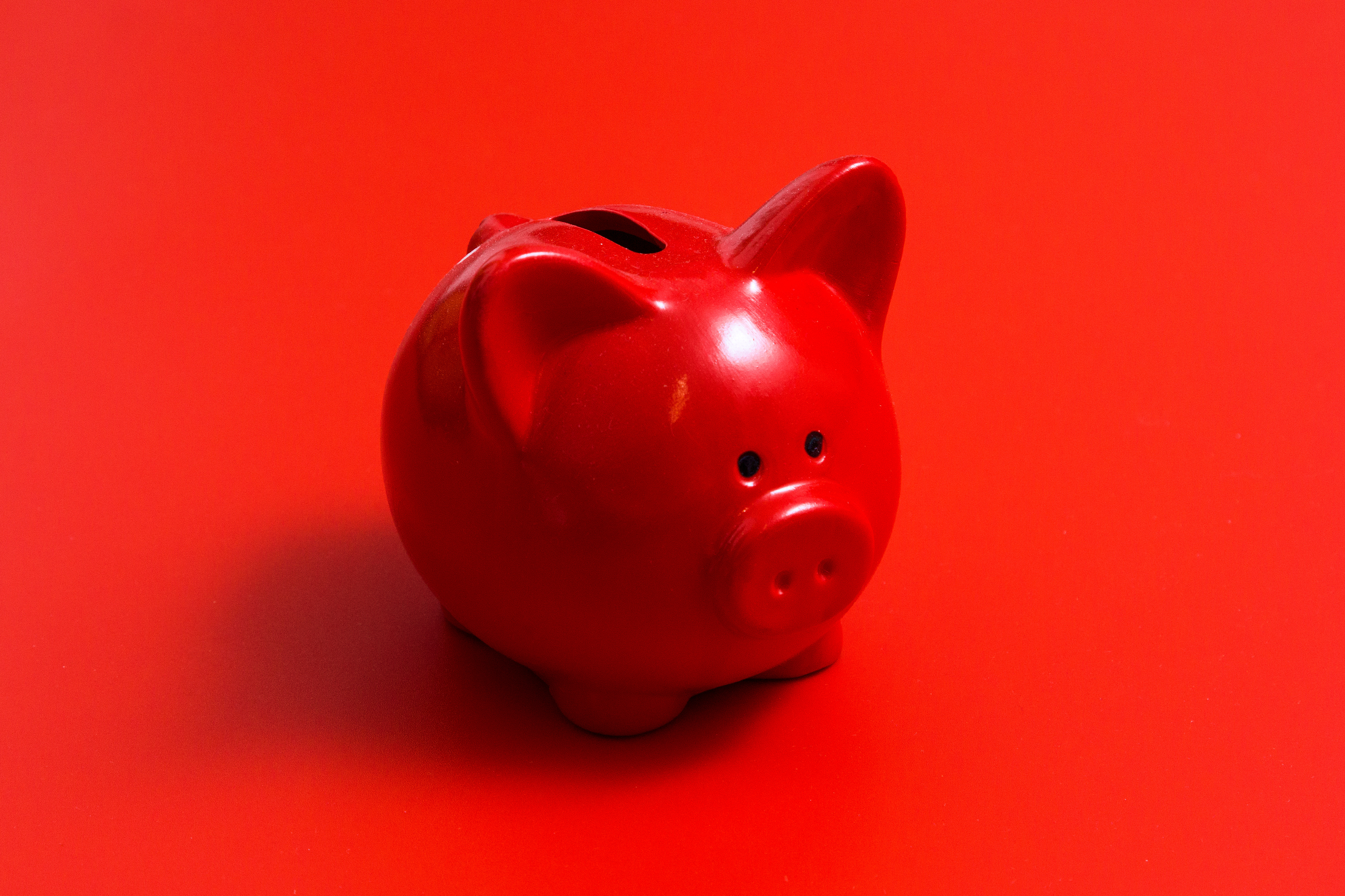 Red piggy bank