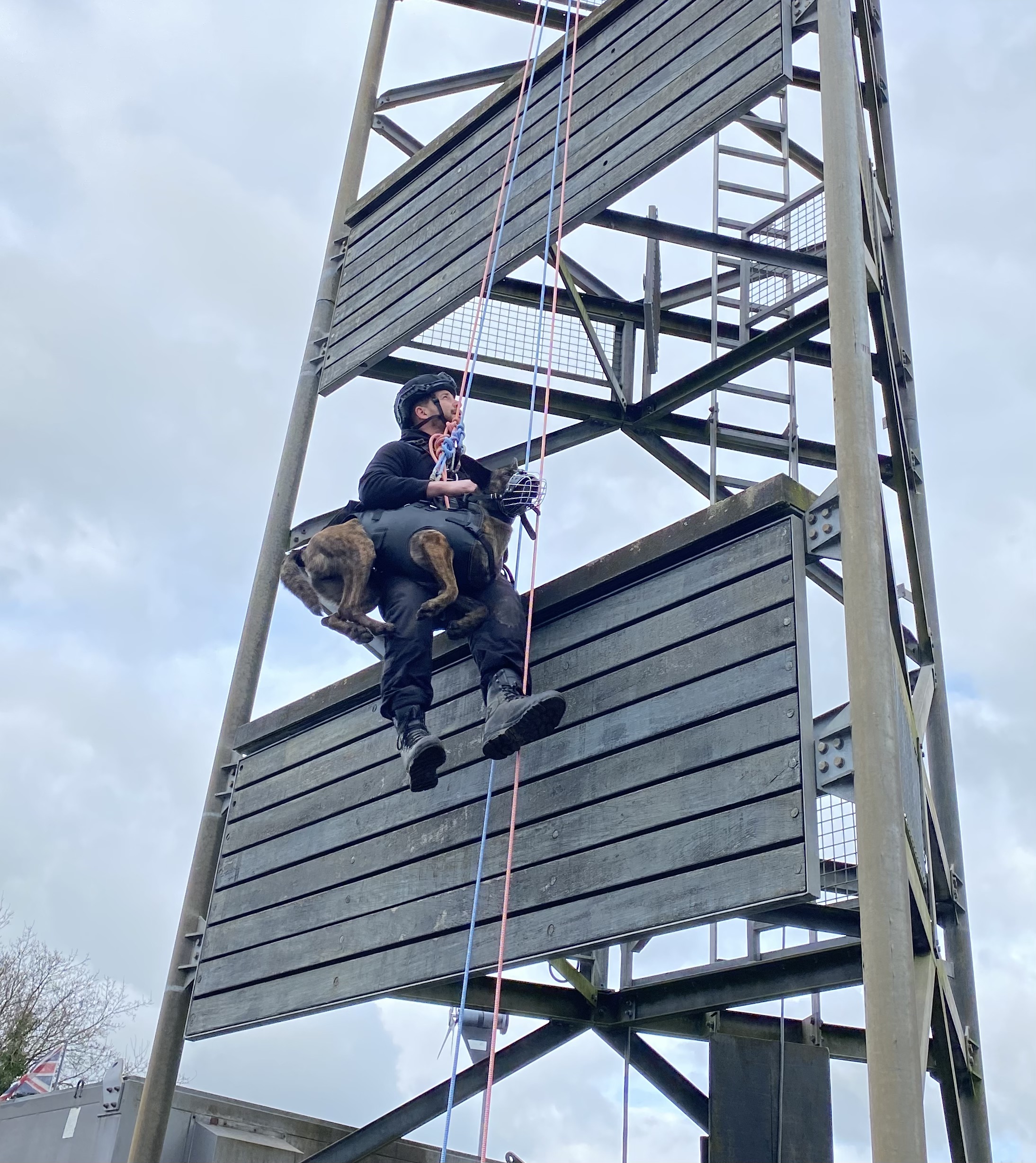 Essex Police officer and police dog on a harness