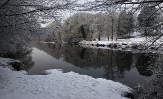 Snowy ground looking out over lake, surrounded by bare trees