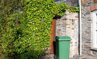 Green wheelie bin sitting by a garden wall with ivy climbing up the stonework