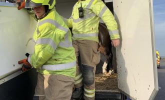 Two firefighters