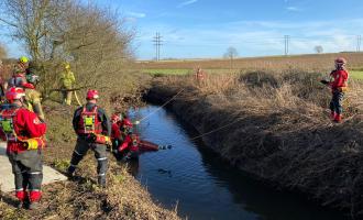 horse rescued by firefighters from ditch