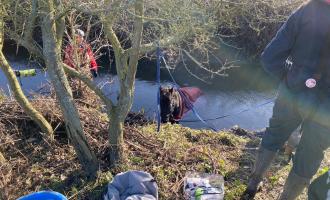 horse rescued by firefighters from ditch