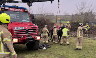 Firefighters using our Animal Rescue Unit to rescue a horse