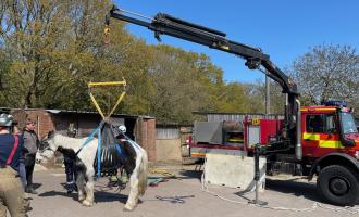 Firefighters working to lift a fallen horse in Langdon Hills