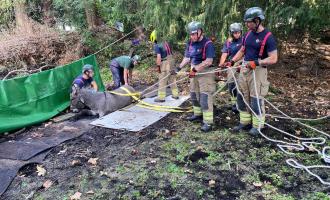 Animal Rescue Unit rescuing a donkey