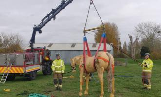 Animal Rescue Unit training 