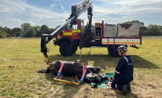  Firefighters using our specialist animal rescue vehicle to rescue Amber