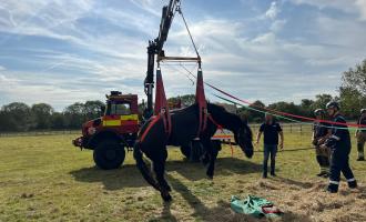  Firefighters using our specialist animal rescue vehicle to rescue Amber