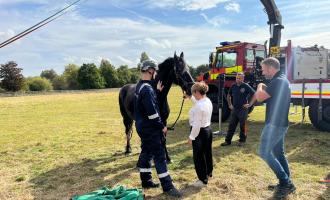  Firefighters using our specialist animal rescue vehicle to rescue Amber