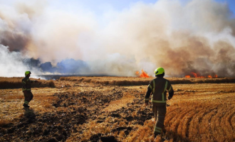 Firefighters field fire 
