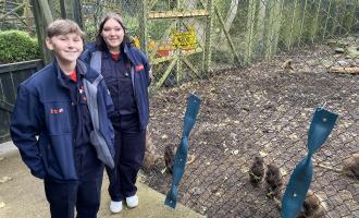 Zak and Jorge with puzzle feeders made from old fire hoses for Gelada Baboons at Colchester Zoo