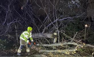 A firefighter cutting a fallen tree