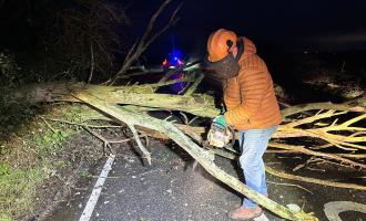 A farmer cutting a tree with a chainsaw