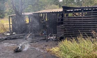 Outbuilding fire Newport