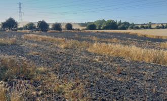 The aftermath of a field fire in Chadwell St Mary