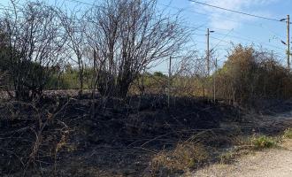 The aftermath of a deliberate grass fire near a railway line