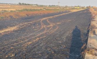 A burnt out field