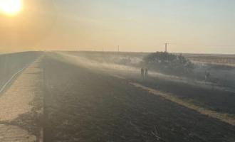 A burnt out field