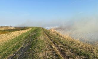 Grass on fire