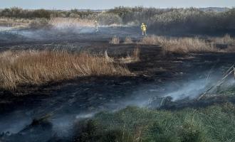 Scorched grassland with firefighters in the distance