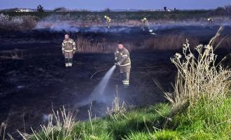 Firefighters spraying water on scorched ground