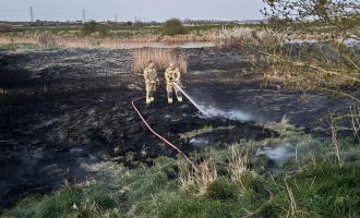 Two firefighters spraying water on scorched ground
