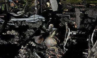 Fire damaged garden