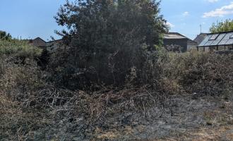 field fire in Braintree