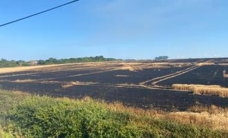 A scorched field