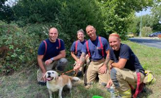 Firefighters rescue dog