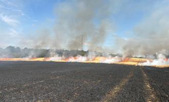 Grays field fire
