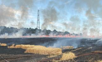  Grays field fire