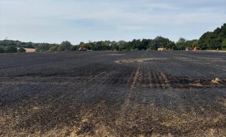 287052 wildfire Braintree
