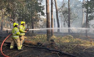 Two firefighters at the scene of a forest fire