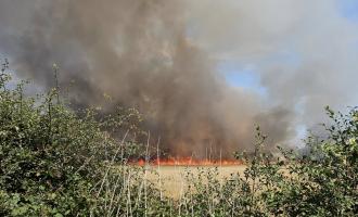 A field fire in Witham