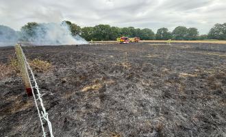 Firefighters at a field fire in Bicknacre