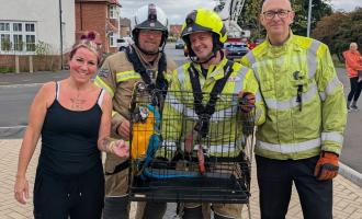 Firefighters rescuing Peggy the parrot