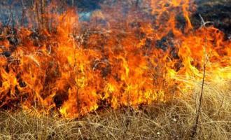 wildfire