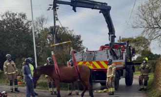 Horse rescue Woodham Walter November 5 (2)