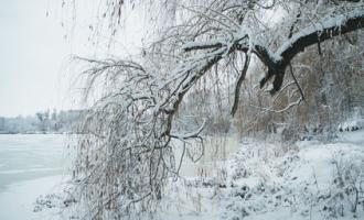 STOCK Winter Water