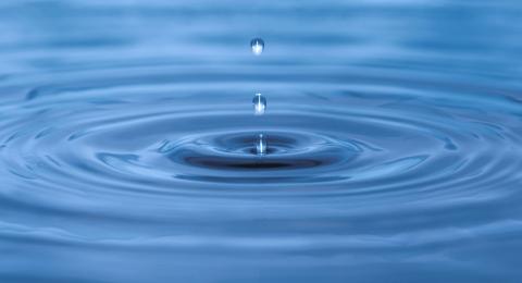 Water droplet creates ripples in surface of water