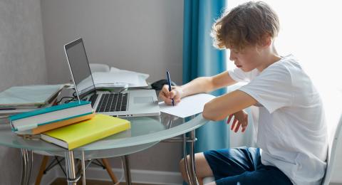 Teenage boy at laptop on dining table