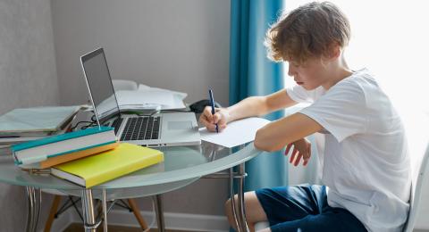 Teenage boy at laptop on dining table