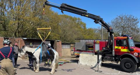 Firefighters working to lift a fallen horse in Langdon Hills